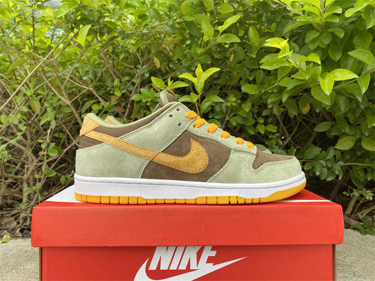 from Nike SB Dunk Low SE Dusty Olive DH5360-300