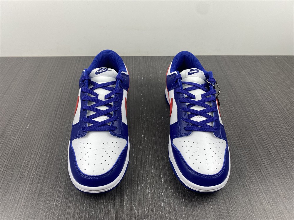 from NIKE DUNK LOW DD1503-119