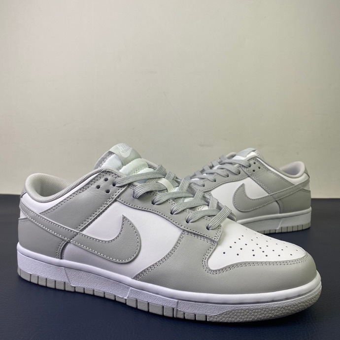 from NIKE DUNK LOW RETRO DD1391-103