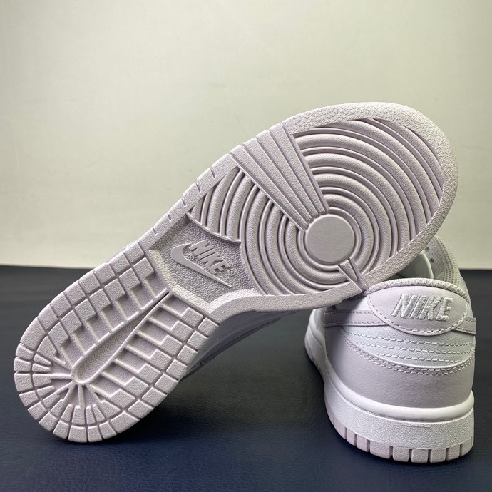 from Nike SB Dunk Low DD1503-116