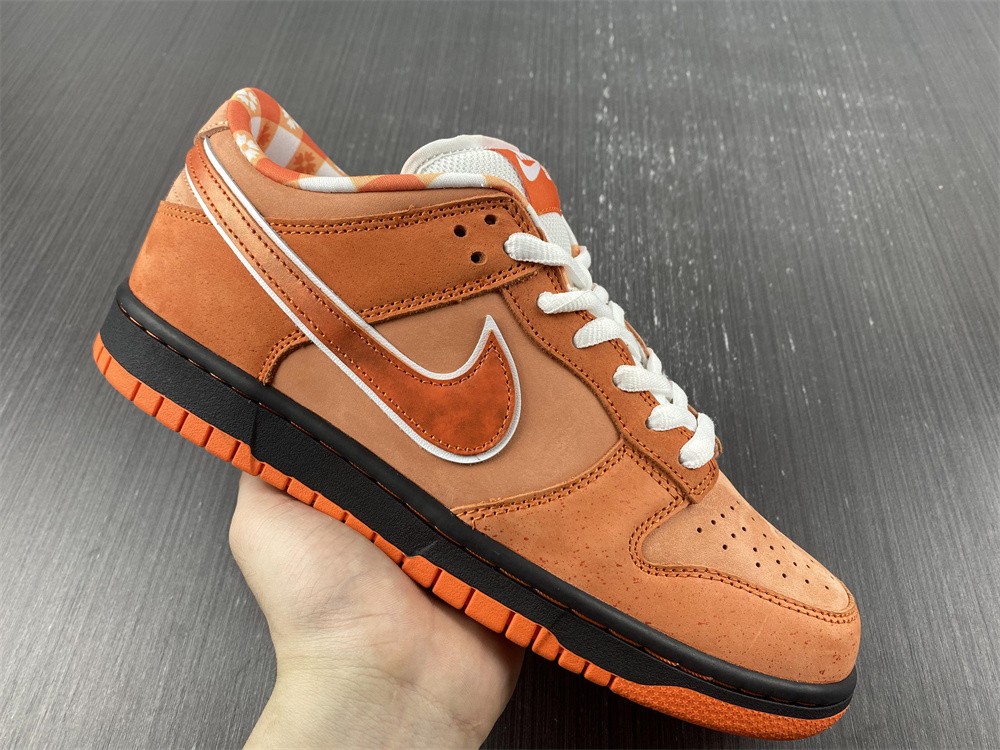 from Concepts x Nike SB Dunk Low FD8776-800
