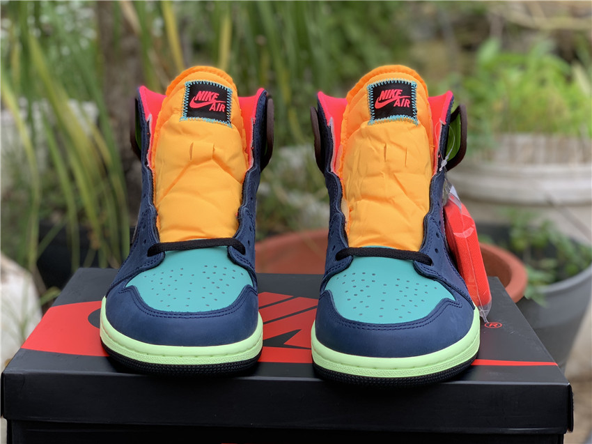 Air Jordan 1 “Bio Hack” 555088-201