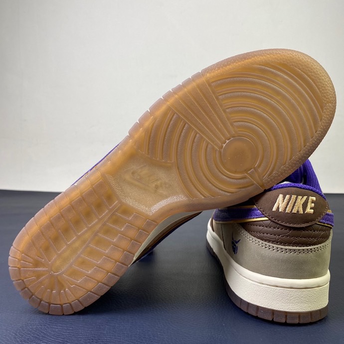 from NIKE DUNK LOW DQ5009-268