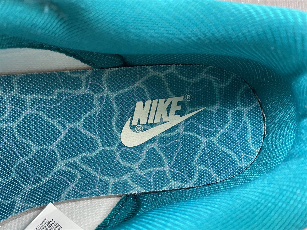 from Nike Dunk Low Ocean DV3029-100
