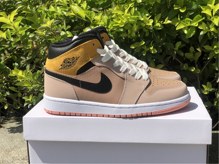 Air Jordan 1 Mid SE DD2224-200