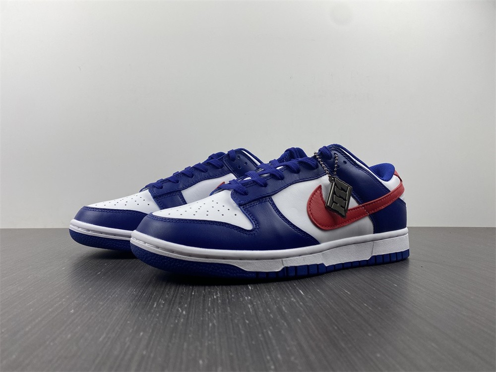 from NIKE DUNK LOW DD1503-119