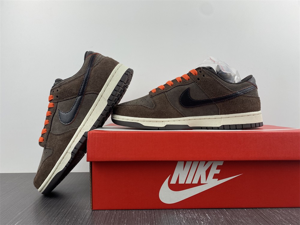 from Dunk Low Retro DQ8801-200