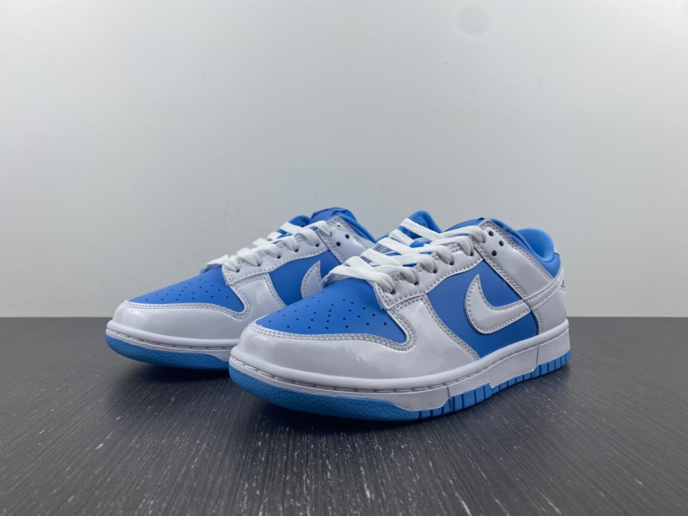 from Nike SB Dunk Low DJ9955-101