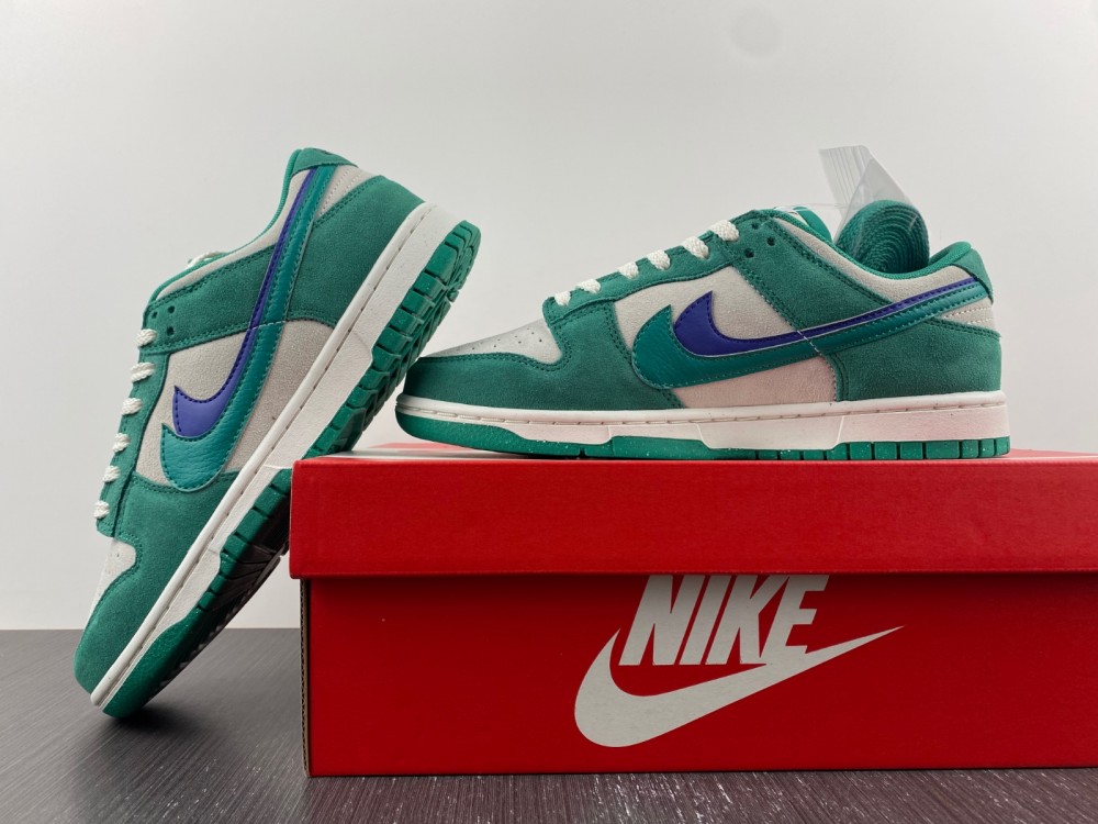 from Nike SB Dunk Low DO9457-101