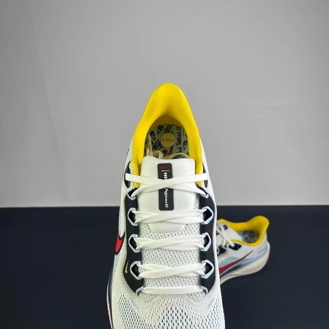 Men Nike pegasus 41 Air zoom