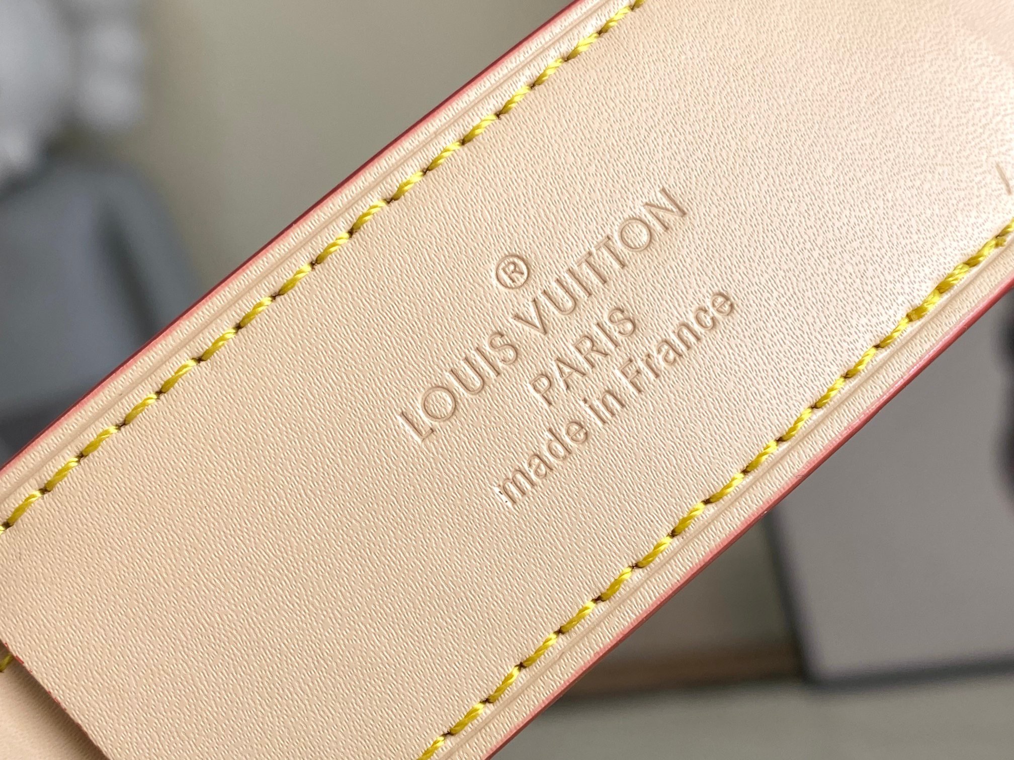 L*ouis V*uitton Top Bag