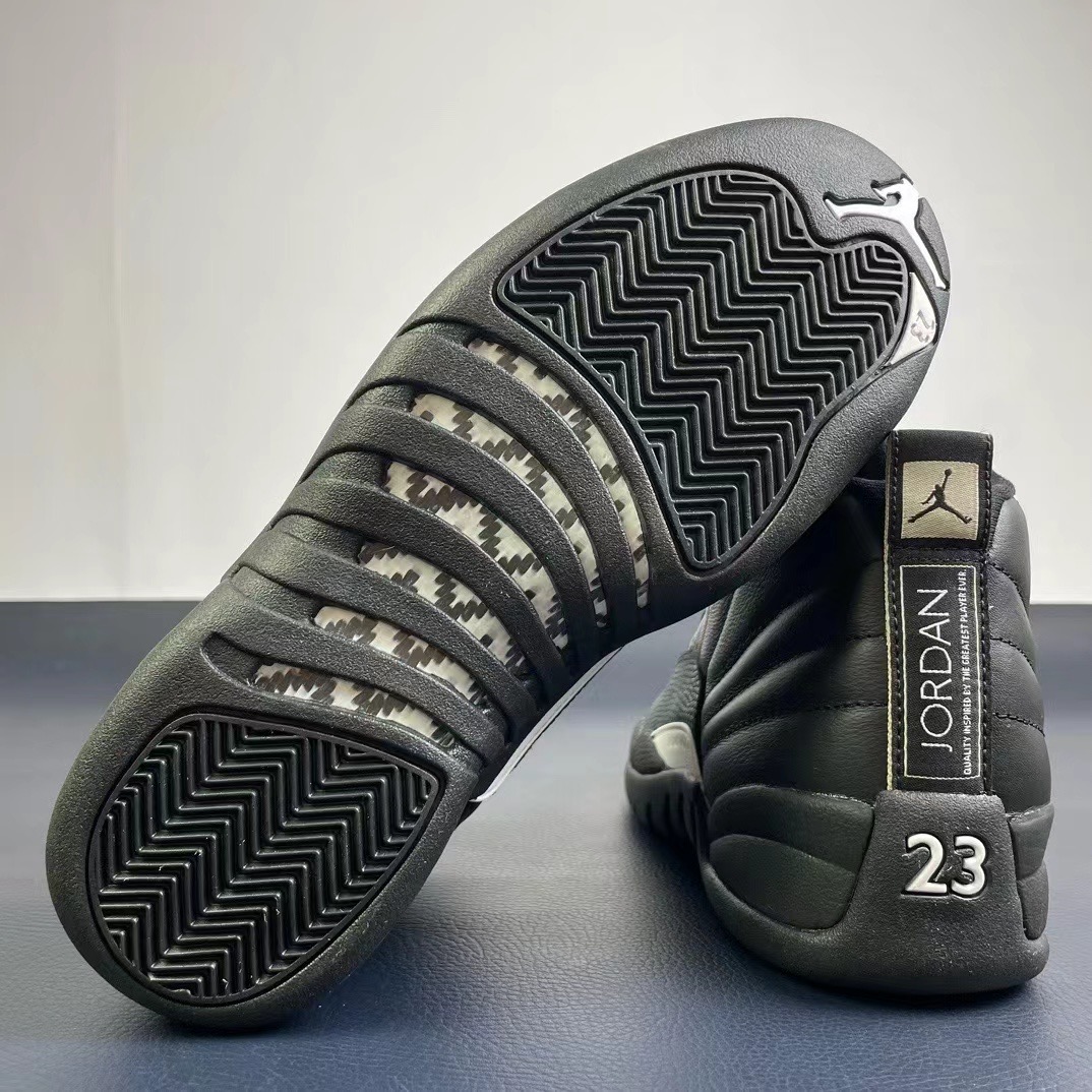Air Jordan 12